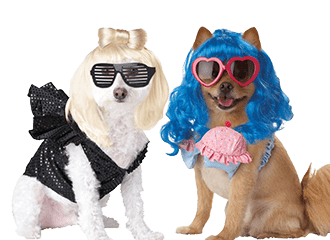 Hundekostüme