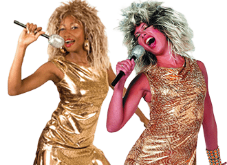 Tina Turner Kleider