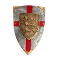 Kämpfen Wie Ein Ritter Schild