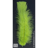Tasche Mit 50 Federn Green