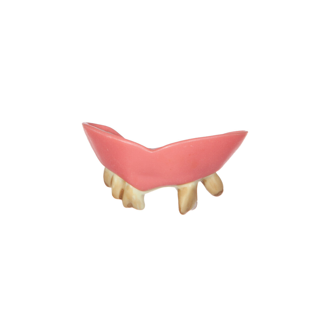 Op deze afbeelding zie je een Accessoires, van het merk Wilbers. Nooit Gepoetst Gebit