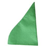 Op deze afbeelding zie je een Accessoires, van het merk Widmann. Kabouter Puntmuts Groen