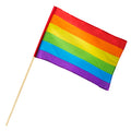 Polyester Handfahne Regenbogen