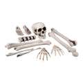 Satz Totenkopf Und Knochen 12-Teilig