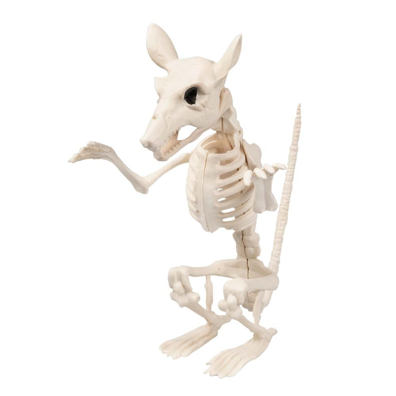 Op deze afbeelding zie je een Decoratie, van het merk Boland. Decoratie Skelet Ratten Rap