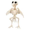 Vogelskelett
