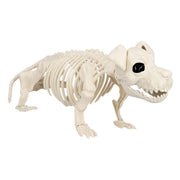 Op deze afbeelding zie je een Decoratie, van het merk Boland. Decoratie Skelet Hond Bullie Dog