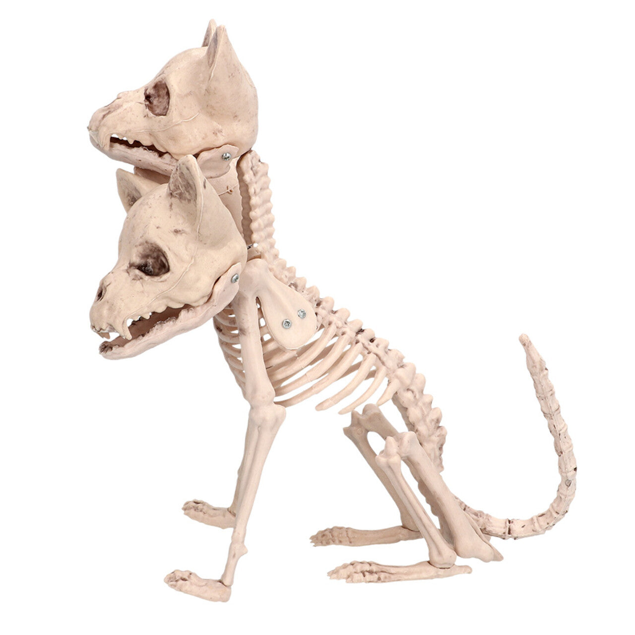 Op deze afbeelding zie je een Decoratie, van het merk Boland. Decoratie Skelet Driekoppige Hond Cerberus