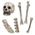 Set 6 Totenschädel Und Knochen