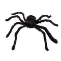 Haarige Spinne Widowmist