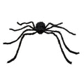 Haarige Spinne Graveweaver