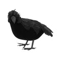 Krähe