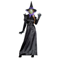 Erwachsenenkostüm Raven Witch Damenkostüm
