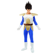 Op deze afbeelding zie je een Kostuums, van het merk Chaks. Vegeta™ Dragon Ball Z™ Man Kostuum