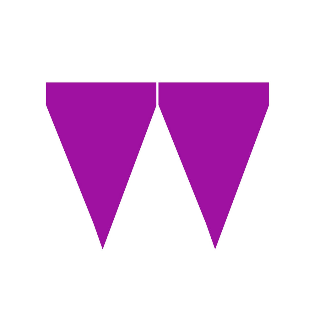 Op deze afbeelding zie je een Decoratie, van het merk Funidelia. Purple Party Vlaggenlijn 9 Wimpels 3 Meter