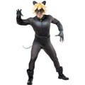 Kostüm Von Cat Noir für Männer - Ladybug Herren