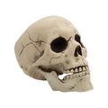 Dekorativer Halloween Totenkopf