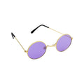 Purpurfarbene Runde Hippie-Brille Stolz