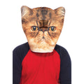 Launische Katzenmaske