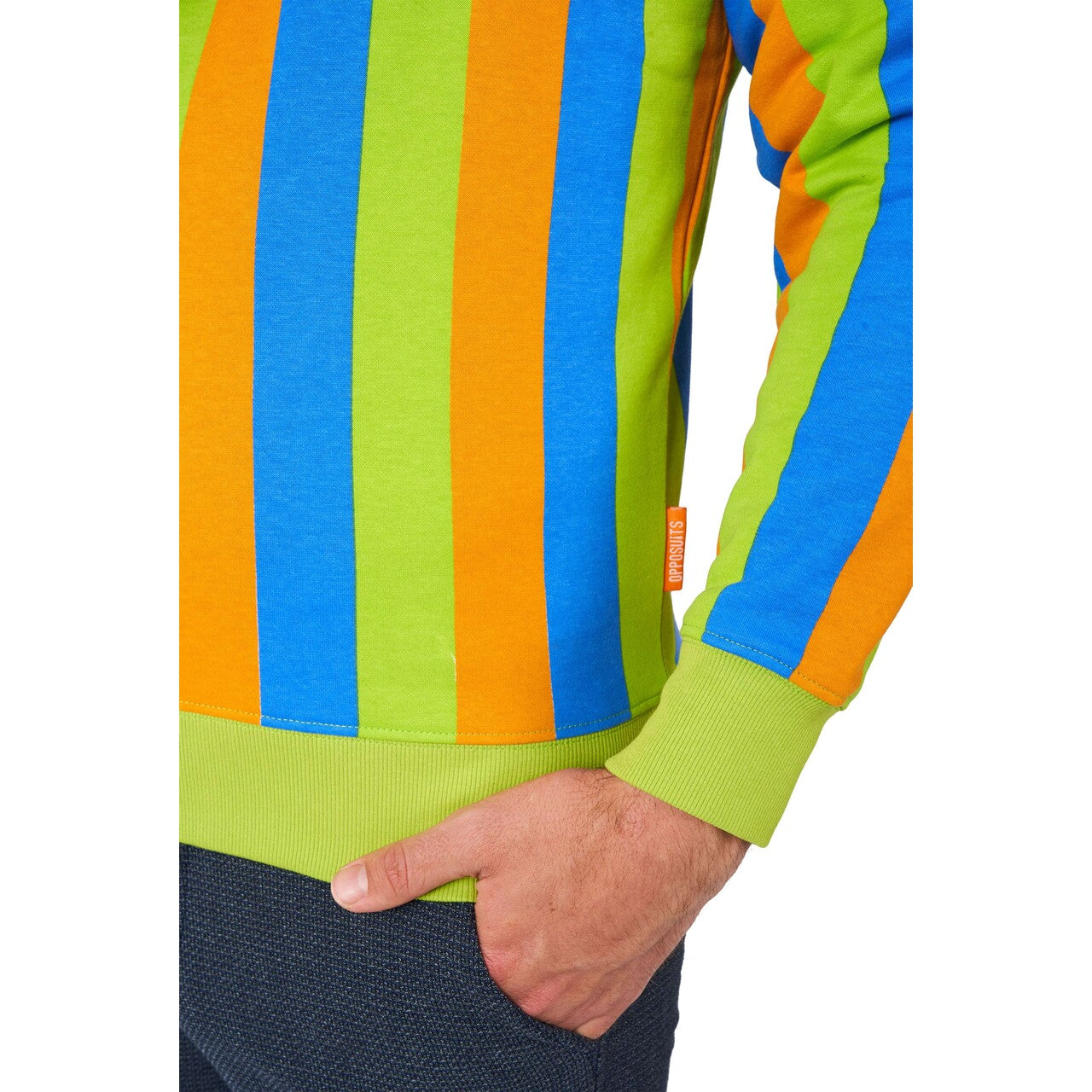 Op deze afbeelding zie je een Kostuums, van het merk Opposuits. Bert™ Sesamstraat Trui Man