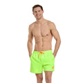 Neon Lucky Beach-Shorts Herren
