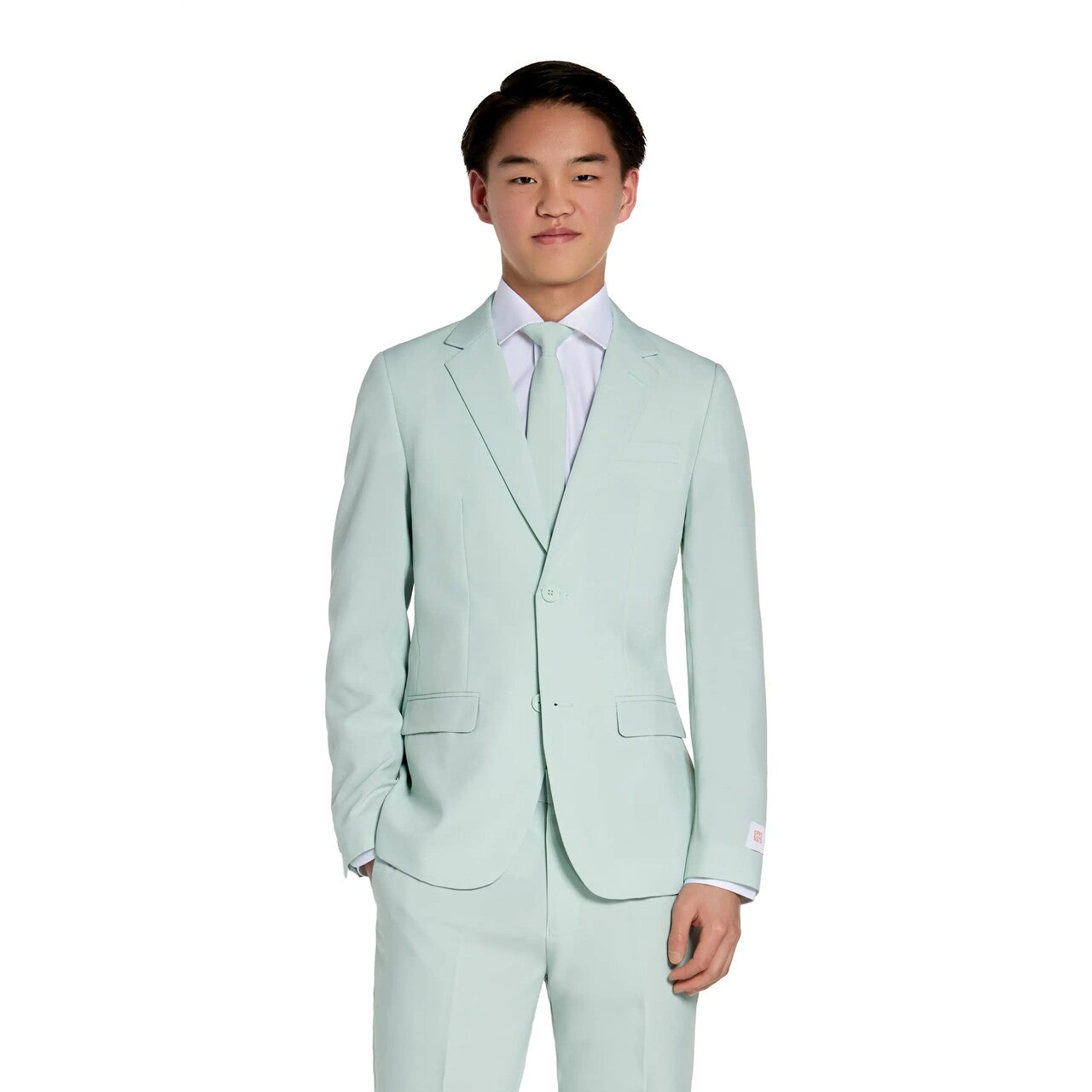 Op deze afbeelding zie je een Kostuums, van het merk Opposuits. Magic Mint Mike Jongen Kostuum