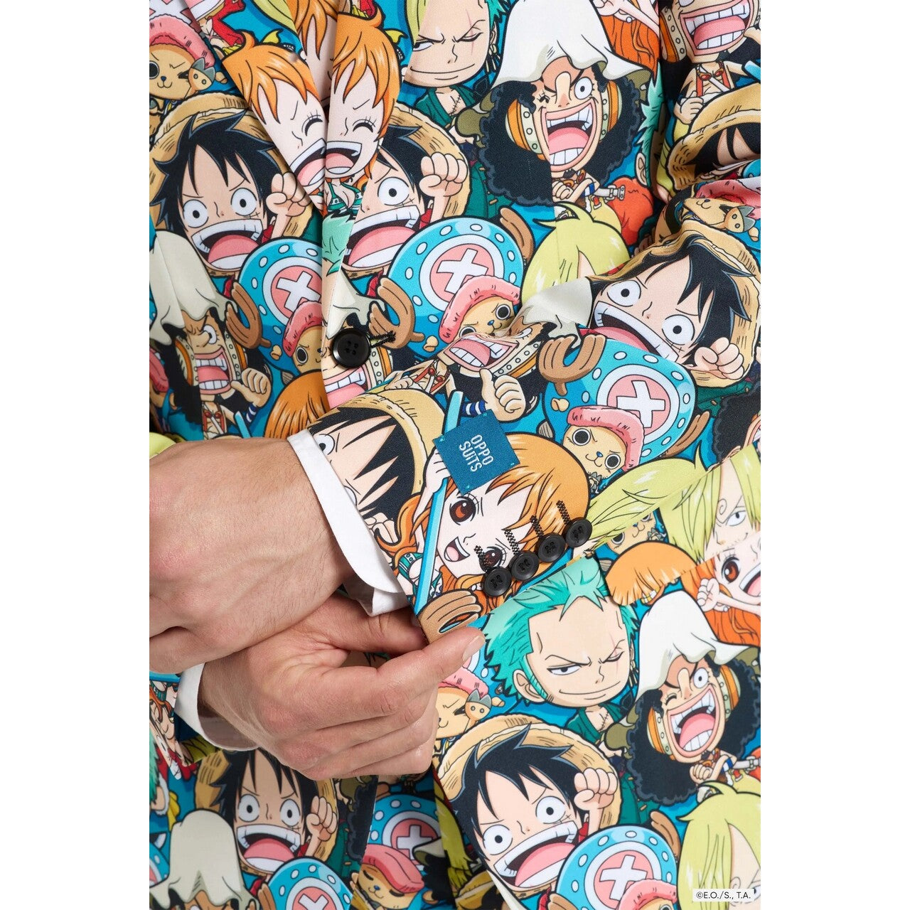 Op deze afbeelding zie je een Kostuums, van het merk Opposuits. One Piece Anime Man Kostuum
