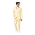 Pastelfarbiges Anzug-Set Herren