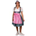 Heidi Bierträgerin Dirndl Damenkostüm