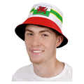 Welsh Party Festival Hut