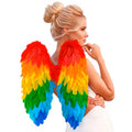 Regenbogen Engel Flügel