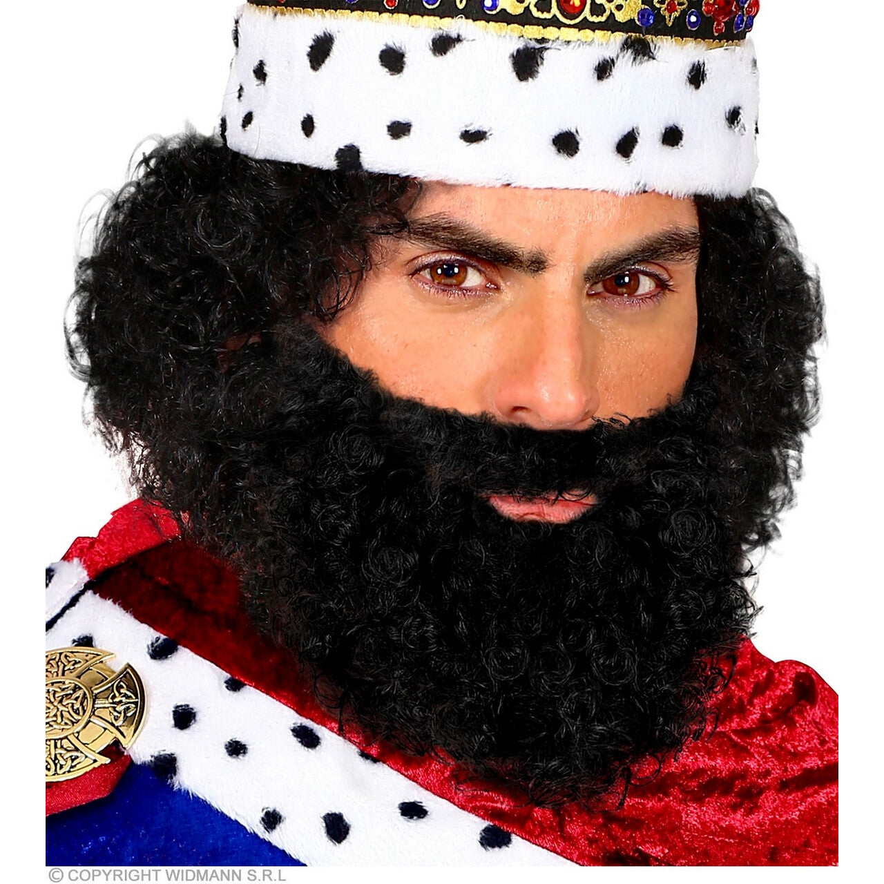 Op deze afbeelding zie je een Accessoires, van het merk Widmann. Zwarte Krullen Baard En Snor