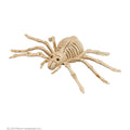 Dekoration Skelettspinne
