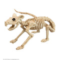 Skelett Ratte Dekoration