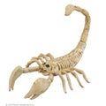 Dekoration Skelettskorpion