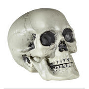 Op deze afbeelding zie je een Decoratie, van het merk Widmann. Halloween Deco Schedel Van Pvc 21 Centimeter