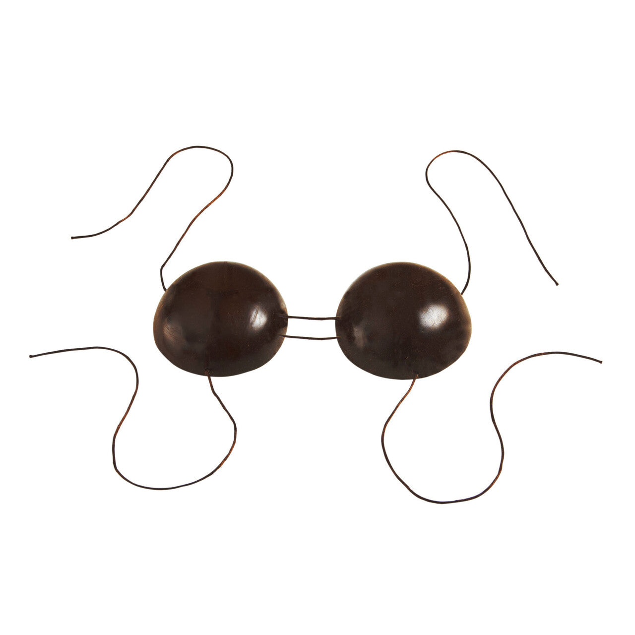 Op deze afbeelding zie je een Accessoires, van het merk Widmann. Hawaii Plastic Kokosnoot Bh