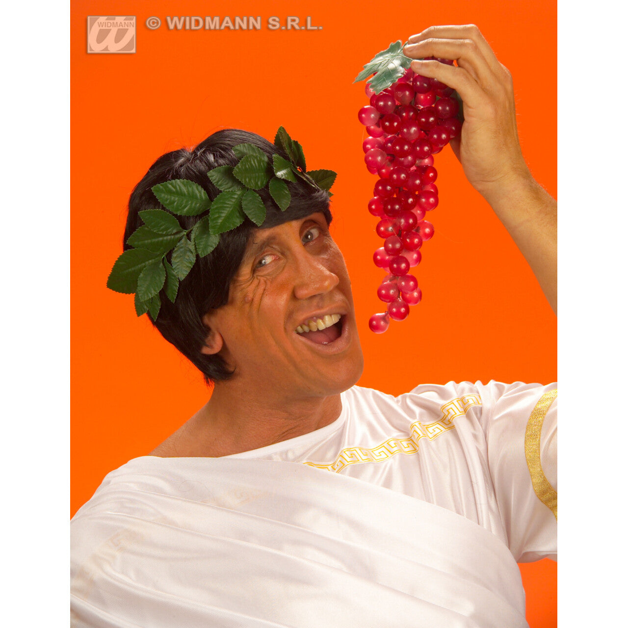 Op deze afbeelding zie je een Accessoires, van het merk Widmann. Lauwerkrans Groen