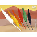 Bunte Federn-Set 12-Teilig
