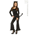 Katzen-Set