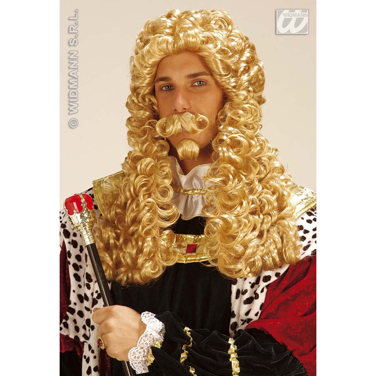 Op deze afbeelding zie je een Accessoires, van het merk Widmann. Pruik, Le Roi Blond