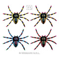 4 Neonspinnen, 7 Zentimeter