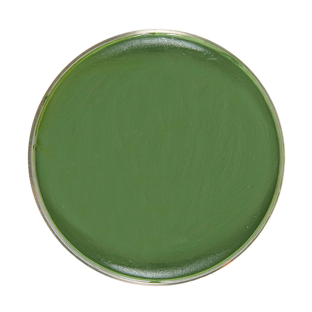 Op deze afbeelding zie je een Accessoires, van het merk Widmann. Unicolor Make-Up In 25 Gram Bakje, Groen
