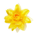 Tropischer Blüten-Haarclip Mit Glitzer, Gelb