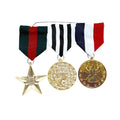 Stolze Ehrenmedaille