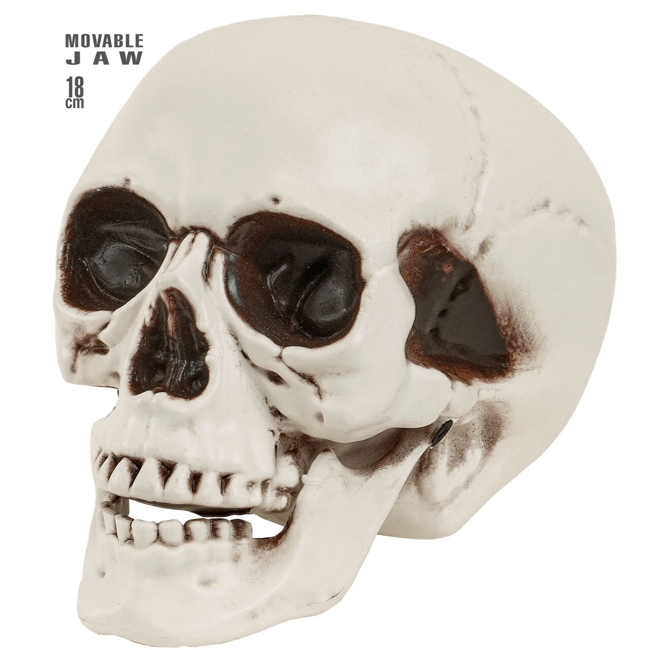Op deze afbeelding zie je een Decoratie, van het merk Widmann. Halloween Schedel Met Beweegbare Kaak