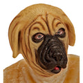 Cartoony Maske, Bulldogge