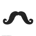 Lenker-Schnurrbart Poirot