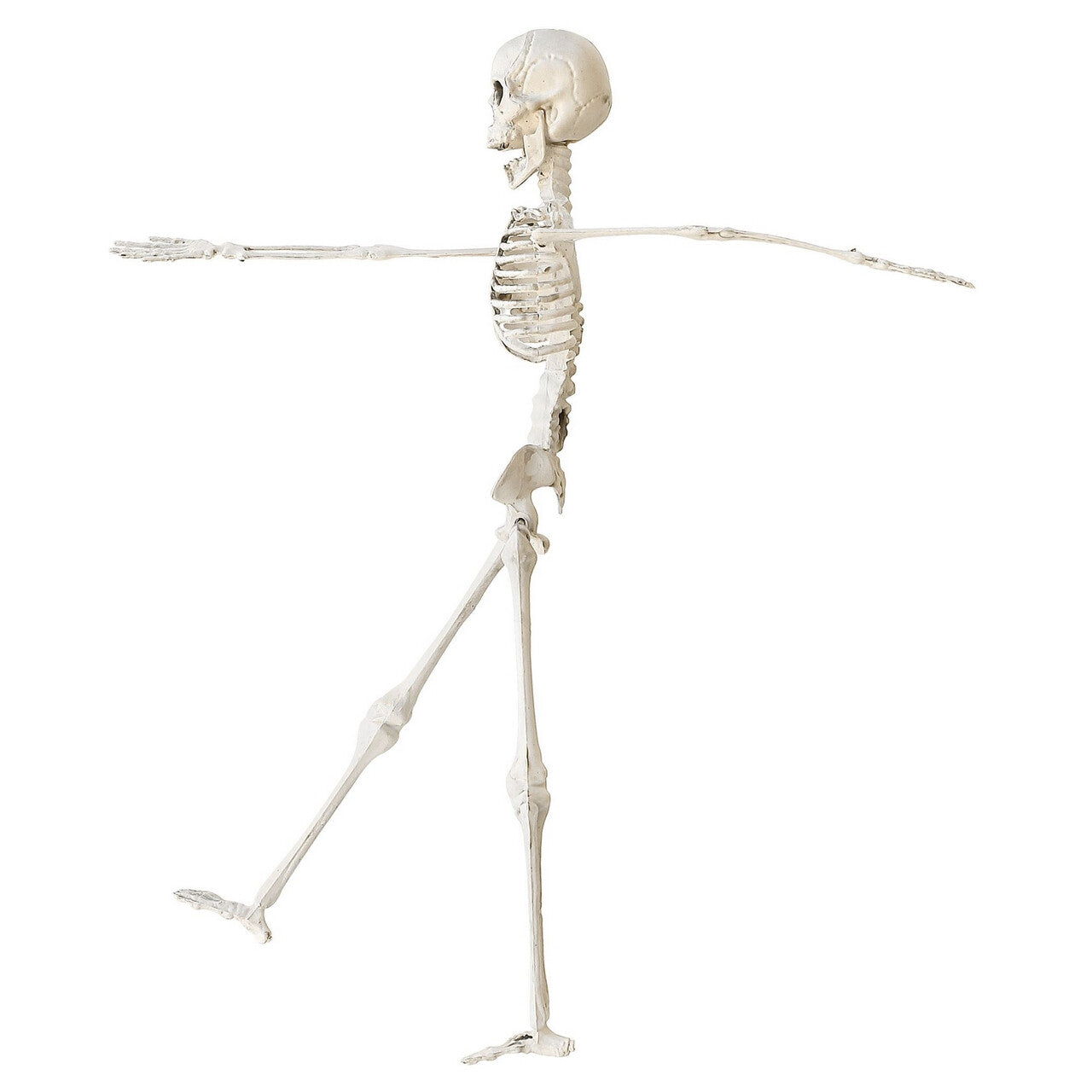 Op deze afbeelding zie je een Decoratie, van het merk Widmann. Bungelend Skelet 40 Centimeter