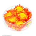 Dekoration Madies Orange / Gelbe Blumenmeer